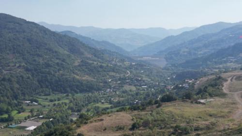 Temizel Vadi Orman